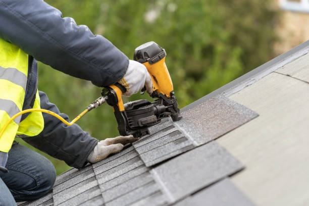 Best Roof Insulation Installation  in Belmond, IA