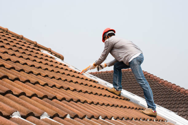 Trusted Belmond, IA Roofing services Experts